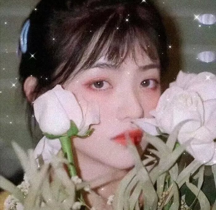 玉兰花开君再来